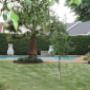 Uploaded by visitor on 2018/01/31 - Pool & gardens