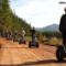 Grabouw Segway Forest Trails