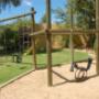 Jungle Gym