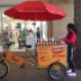 Uploaded by visitor on 2016/04/21 - Scoopy Dog . Hot dog