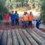 Uploaded by visitor on 2018/01/26 - Wooden bridge
