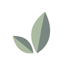 Eco Furniture Design