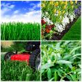 Landscaping and Gardening Services