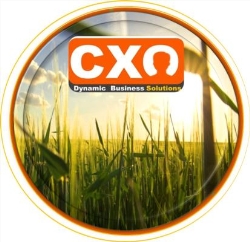 CXO| Dynamic Business Solutions