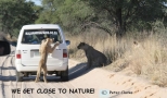 Kgalagadi Travel & Tours