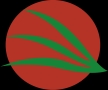Dongguan New Times New Energy Science & Technology Co.,ltd.