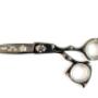 Black Hair Scissor