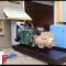 Standby Generator