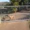 Standard Driveway Sliding Gate