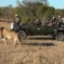 MindPower Safari - Game Drive