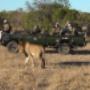 MindPower Safari - Game Drive