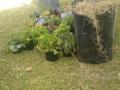 Mandela Day activity