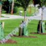 Watering bag for trees, drip irrigation tree bag