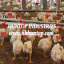 poultry and livestock equipments producer China Huntop