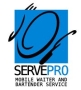Serve Pro Mobile Waiter Bartender
