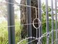 Electric-Fencing