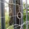 Electric-Fencing