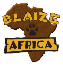 Blaize Africa