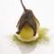 Poached pear with chocolate drizzle