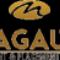 MAGAUTA RECRUITMENT LOGO