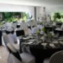 Wedding Reception