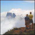 Just 4 fun Tours