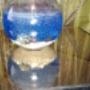 Fish bowl
