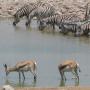 Etosha