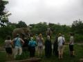 Group Travel