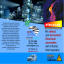 Electrical surveys