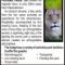 Puruma Pride Lion Breeding Farm, highly recommended & preferred product