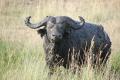 African Wanderer Tours & Safaris
