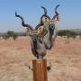 Kudu double pedestal mount