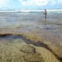 9 mile beach