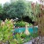Swimming Pool view