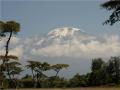 Kilimanjaro Travel Adventure Safaris Ltd