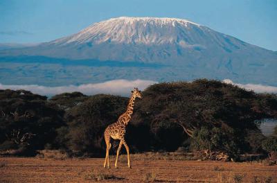 Wildlife-viewing-tours