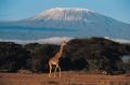 Travel Agents to sell Tanzania Tours like Wildlife safaris and kilimanjaro climbing trips