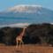 Wildlife-viewing-tours