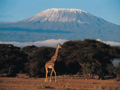 Natural-Wonders-Africa