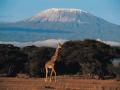 Mount Kilimanjaro is one of 7 New Natural Wonders Africa