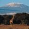 Natural-Wonders-Africa