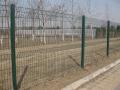 Welded-Mesh-Fence