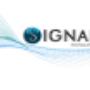 Signal Wave
