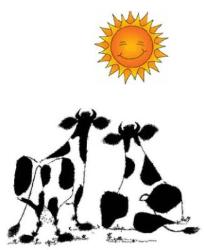 Two Cows Accounting Services (Pty) Ltd