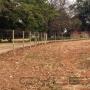 Uploaded by visitor on 2016/06/02 - 1.8m high Bonnox Fence, using CCA treated poles