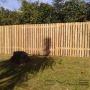Uploaded by visitor on 2016/06/02 - 1.8m high Wooden Slatted fence, with gaps - All CCA treated