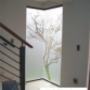 O2 Designs Window Frosting 17