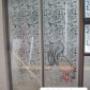 O2 Designs Window Frosting 30