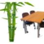 Eco - Green Furniture